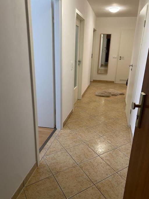 Augsburger Wohnung In Klinikum-Naehe ภายนอก รูปภาพ